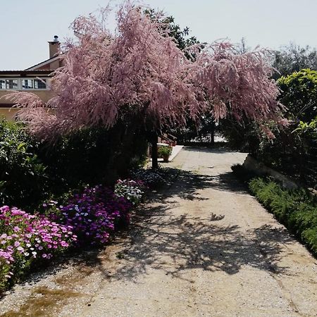 Casa Noemi Lägenhet Sperlonga Exteriör bild